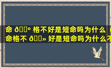 命 🐺 格不好是短命吗为什么（命格不 🌻 好是短命吗为什么不能结婚）